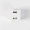 ΠΡΙΖΑ 2 Χ USB MODULES ΛΕΥΚΗ