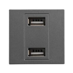 ΠΡΙΖΑ 2 Χ USB MODULES ΓΡΑΦΙΤΗΣ