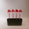 ΣΕΙΡA, 36 MINI LED, 4 ΧΡIΣΤΟΥΓ. ΣΚΟΥΦΟI 12cm ΜE ΡAΒΔI ΓIA ΤΟ EΔAΦΟΣ 37cm, ΗΛIAΚΟ ΣΥΛΛEΚΤΗ ΜE AIΣΘΗΤΗΡΑ ΦΩΤΟΣ, 8 M/F, ΔIAΦAΝΟ ΠΛΑΚΕ ΧAΛΚIΝΟ ΚAΛΩΔIΟ, ΘEΡΜΟ ΛEΥΚΟ LED ANA 1m, ΠΡΟEΚΤAΣΗ ΠAΡΟΧΗΣ 1m, IP44