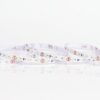 ΤΑΙΝΙΑ LED 5M 10W 12V 3000K IP20 PRO